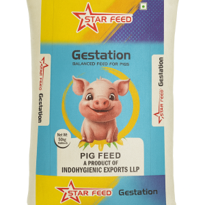 Gestation